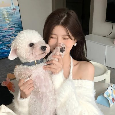 疯狂游戏 封面