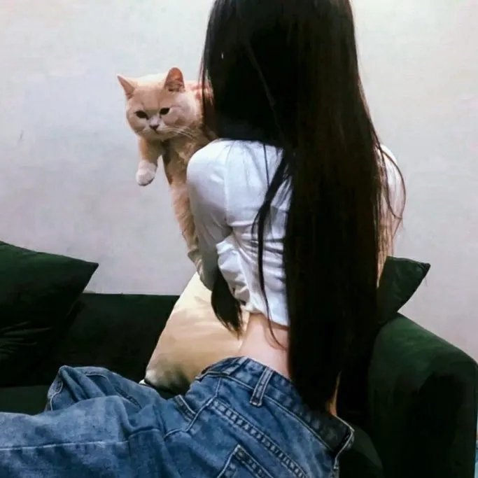 好人李司法 封面